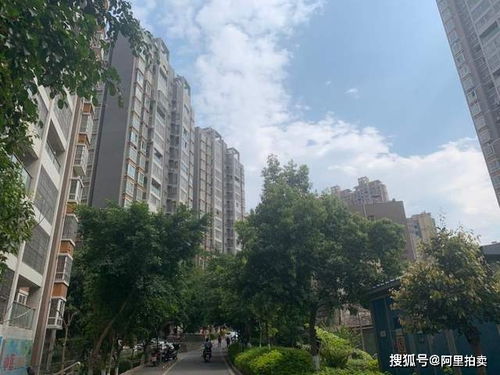 攀枝花錦泰亨房地產(chǎn)破產(chǎn)清算 一住宅39萬元起拍，非居住房地產(chǎn)租賃同步處置