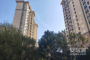深入解讀 東方帕堤歐公寓住宅的優(yōu)劣與周邊經(jīng)紀(jì)人評價(jià)